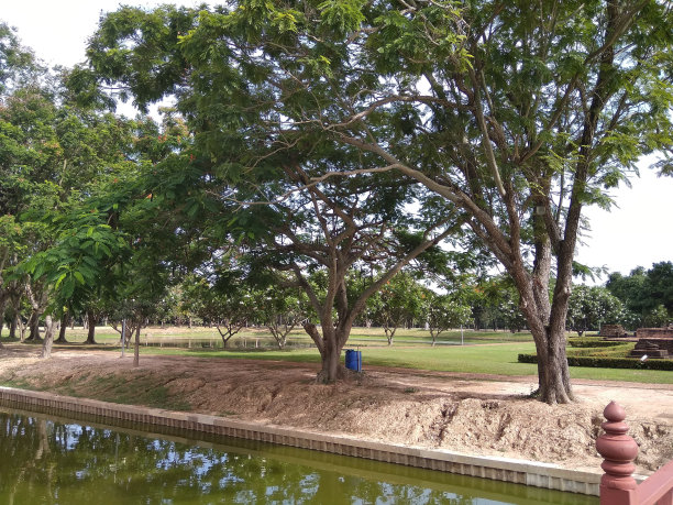 素可泰国家历史公园被列为世界遗产图片下载