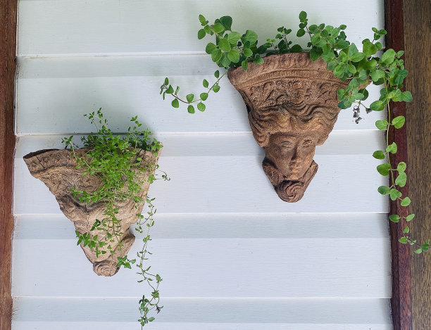 墙上的石头盆栽植物支架图片下载