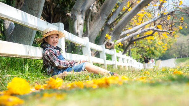 亚洲小孩女孩坐在户外的落叶，秋天的草地，公园，快乐和放松在夏天和假期。生活方式的概念图片下载