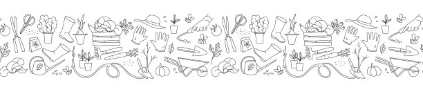 园艺，准备春季，育苗，种植农场蔬菜，园艺工具图片下载