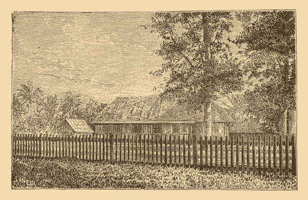 汤加使命站图片下载