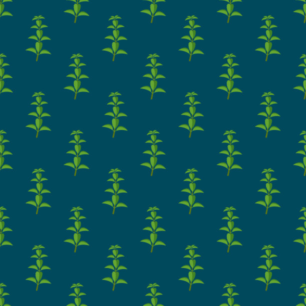 薄荷草模式图片下载