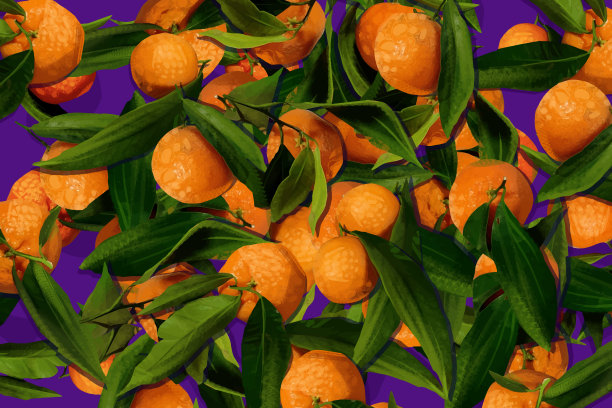 新鲜的异国情调的柑橘图片下载
