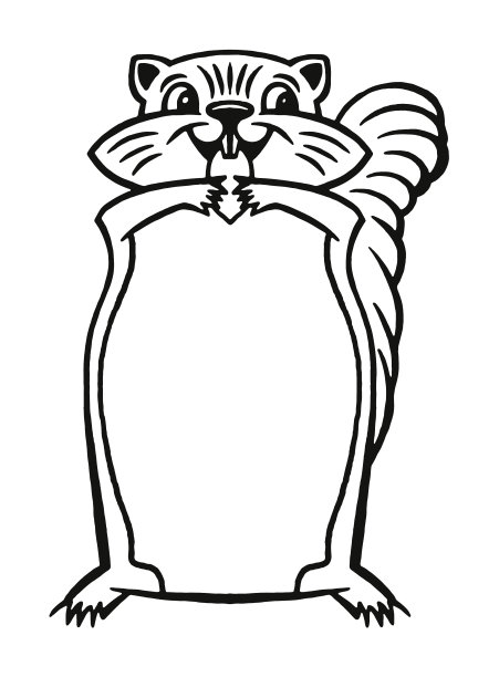 花栗鼠图片下载