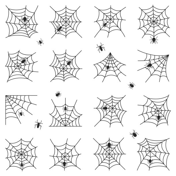 蛛网向量集图片下载