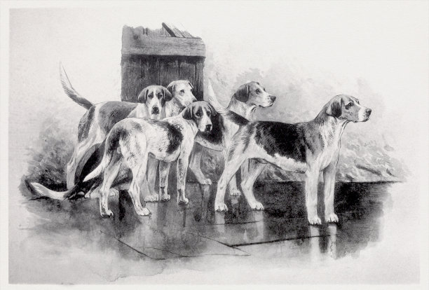 狗插图。复古风格的水墨艺术。图片下载