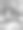 森林里的狐狸一家图片下载