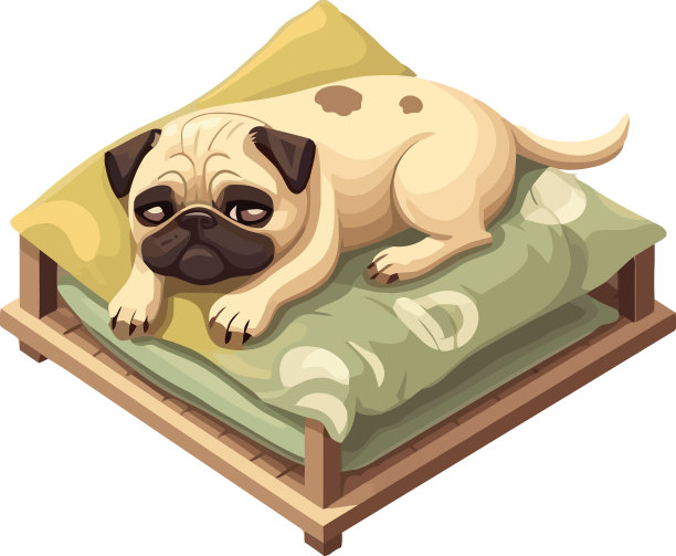 可爱的哈巴狗小狗睡在舒适的床上图片下载