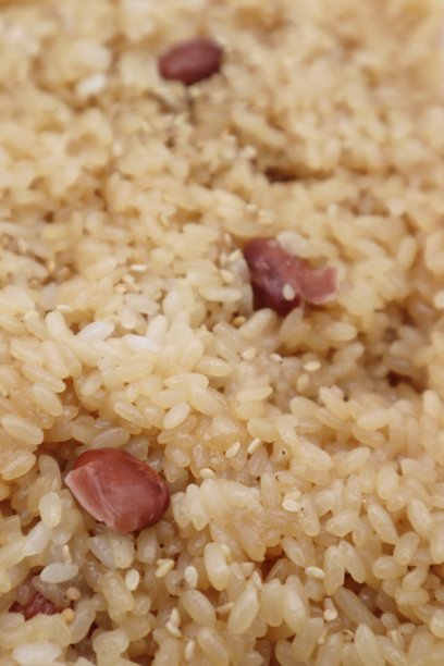 日本大owa的近景图片下载