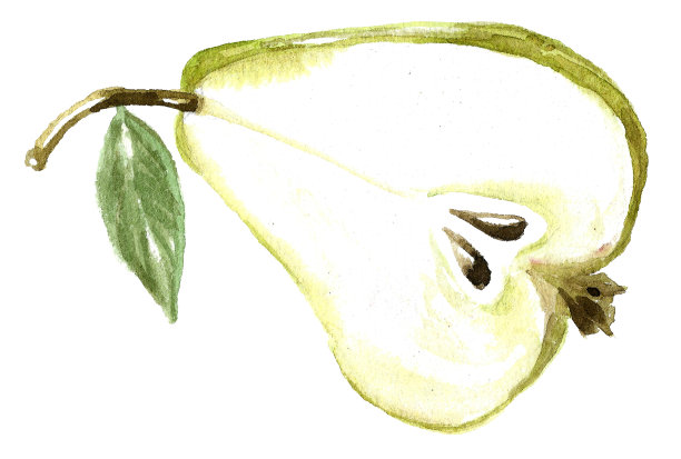 季节性的水果图片下载