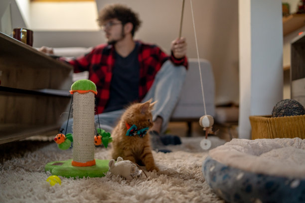 男人微笑着和他的小猫玩耍，图片下载