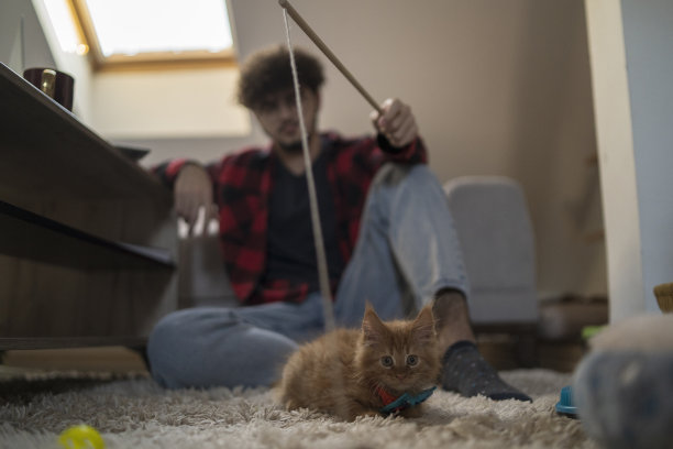 男人微笑着和他的小猫玩耍，图片下载