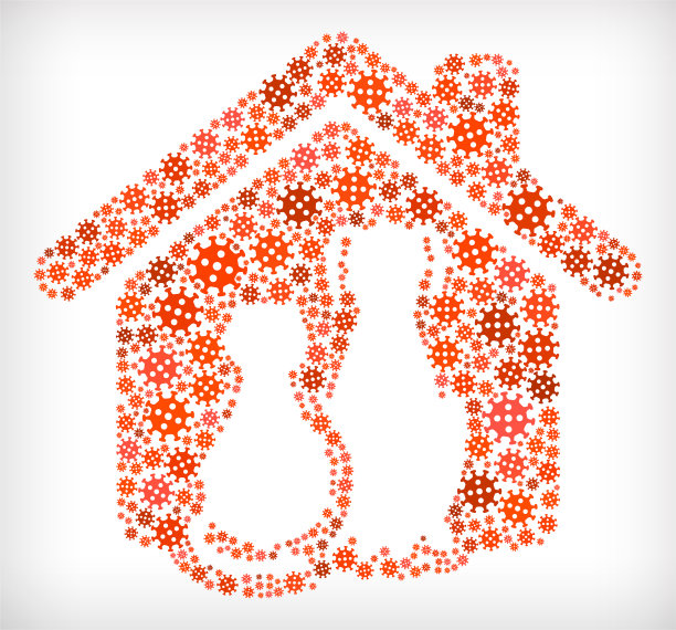 猫和狗流感冠状病毒图标模式图片下载