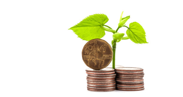 一列硬币和一枚白底20个捷克克朗的硬币上的嫩芽和绿叶图片下载