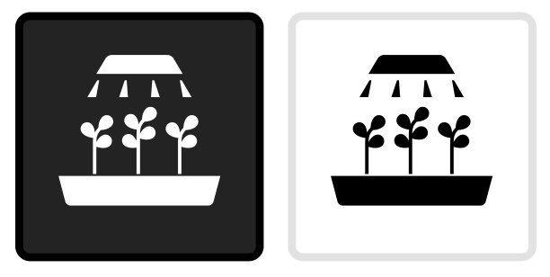正在生长的植物图标上的黑色按钮与白色翻转图片下载