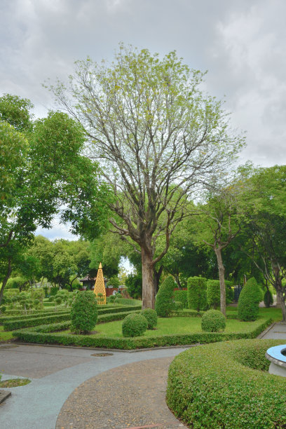 公园里的绿树和灌木图片下载