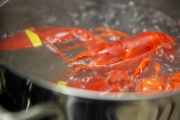 煮缅因龙虾图片下载