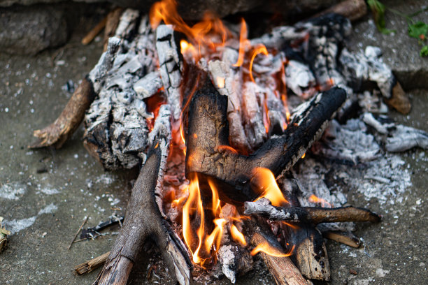 篝火烤和烧烤用的木头图片下载