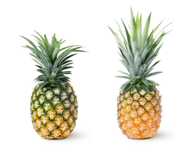 在白色背景上孤立的菠萝图片下载