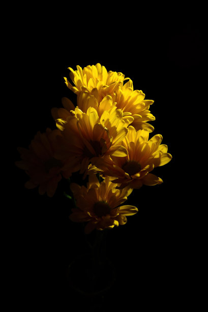 孤立的彩色花束分类的花图片下载