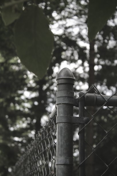 围墙的角落图片下载