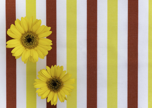 条纹织物上的花朵图片下载