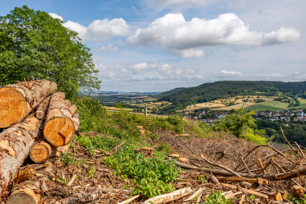山坡上巨大的原木和干燥的树枝与德国乡村景观，背景是一个村庄图片下载
