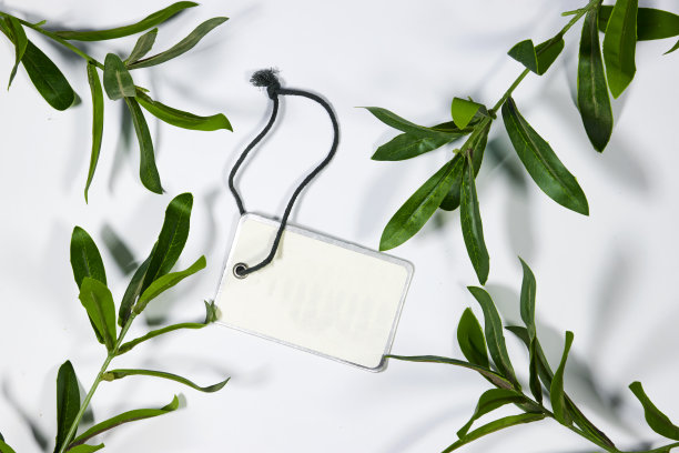 灰色背景上带有新鲜绿色麝香叶子的树枝的空标签图片下载