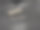 棉质花蕾图片下载