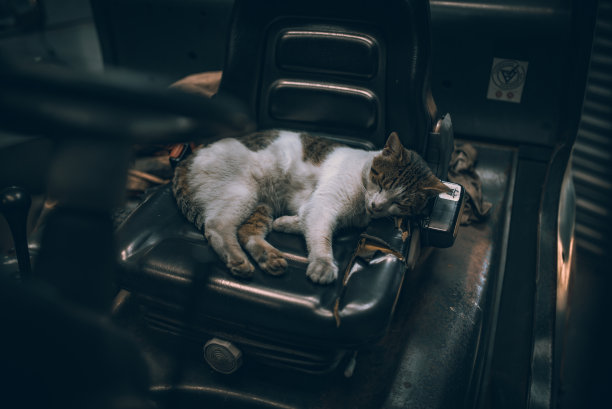 车库里叉车座位上的一辆昏昏欲睡的车。图片下载