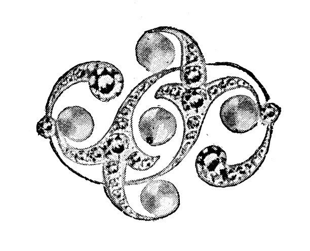 古董图片来自英国杂志:珠宝图片下载