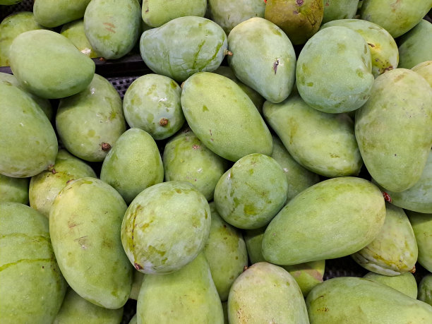 芒果果实图片下载