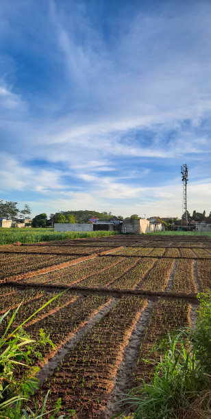 适合种植的土壤图片下载
