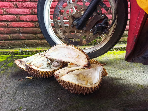 异国邂逅:摩托车车轮旁的榴莲皮图片下载