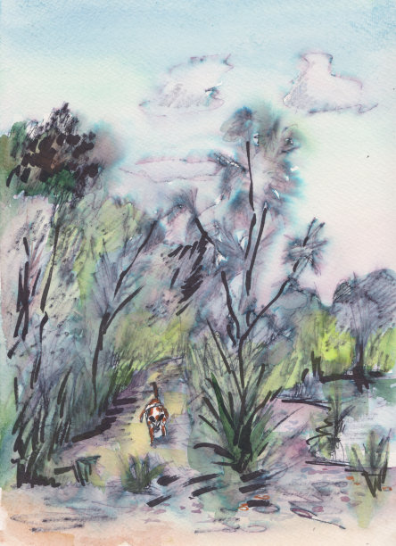 穿过树林的小路图片下载