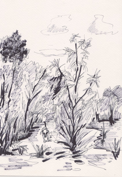 沿着河穿过树林的小路图片下载