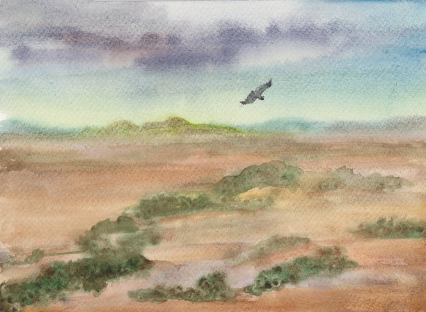 老鹰飞过大草原图片下载