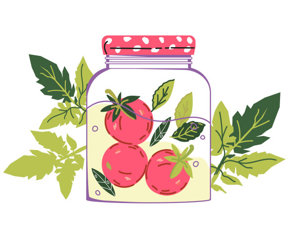 罐内用腌菜、盐渍或腌制的番茄分离出病媒。图片下载