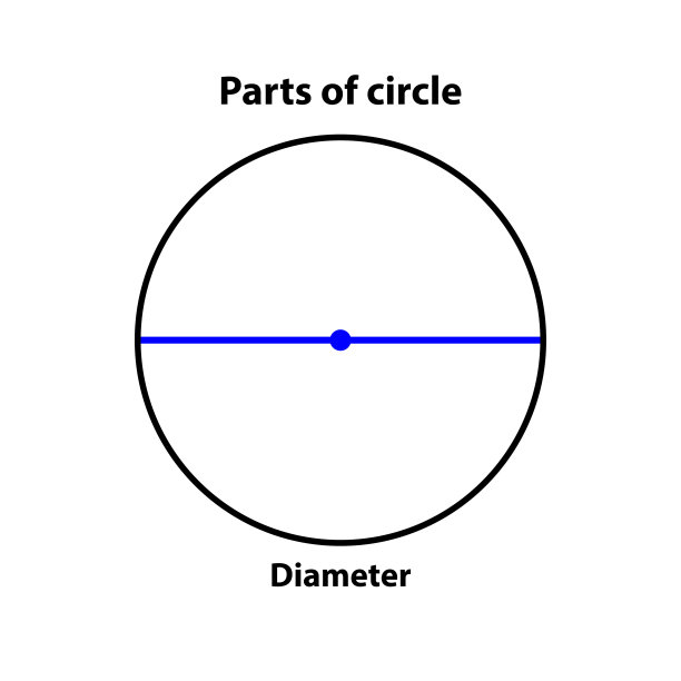 圆直径部分。以蓝色高亮显示。矢量插图在白色的背景。图片下载
