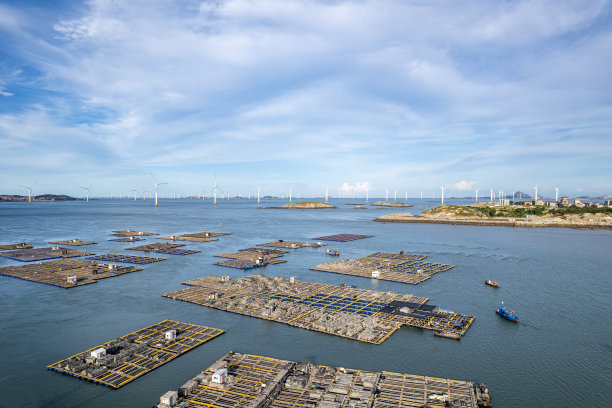 海上风力涡轮机和渔场鸟瞰图图片下载