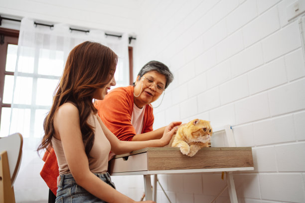 快乐的亚洲妇女和年长的母亲在家里和可爱的猫玩耍。宠物的友谊和人类的生活方式。图片下载