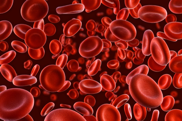 静脉或动脉中的红细胞流动，三维医学人体保健图图片下载