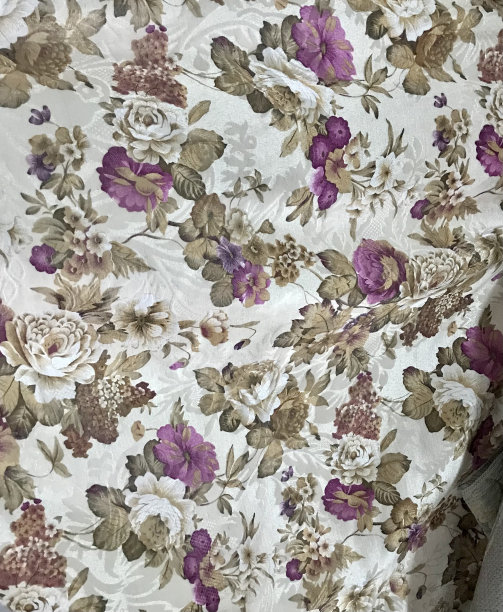 玫瑰杂烩特写图片下载