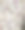玫瑰杂烩特写图片下载