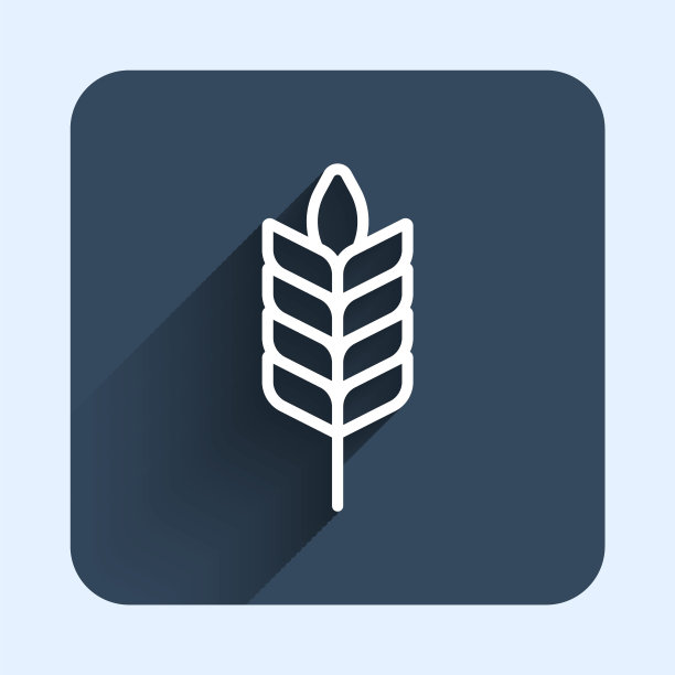 白线谷物集与大米，小麦，玉米，燕麦，黑麦，大麦图标隔离与长阴影背景。麦穗是面包的象征。蓝色方形按钮。向量图片下载