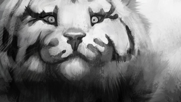 特写白虎肖像插图图片下载