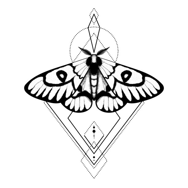 矢量蛾，神秘的符号和符号与几何装饰。巫术，神秘学，炼金术。蝴蝶蛾子复古雕刻风格图片下载