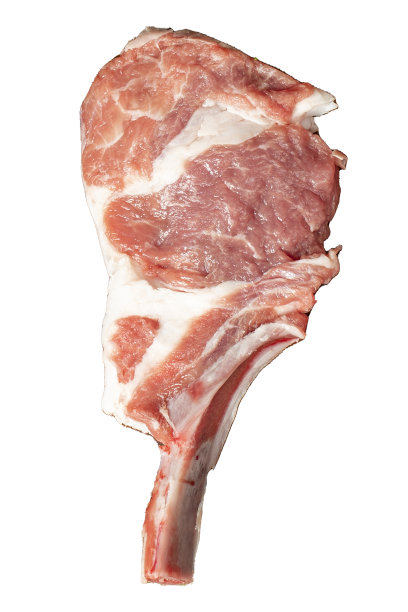 生羊排孤立在白色背景上。新鲜的生羊排加香料和香草。俯视图图片下载