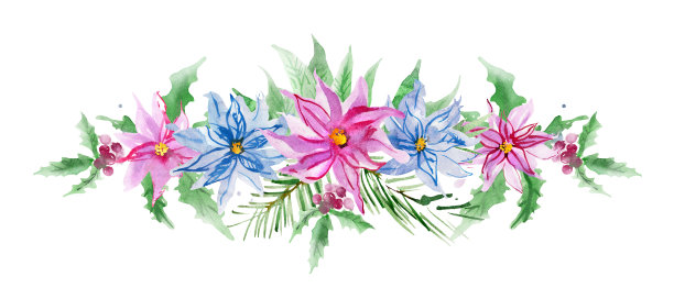 水彩一品红圣诞插图图片下载