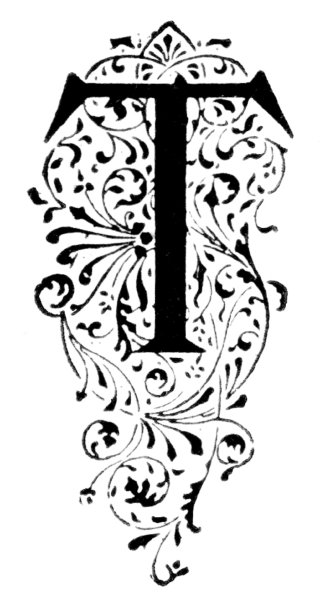 字母T，华丽的设计图片下载